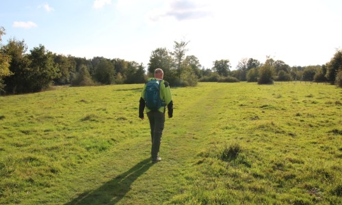 Open_veld_bij_Nijendal