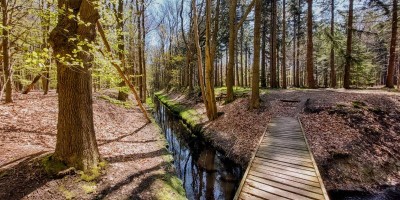 Drenthepad etappe 05.jpg