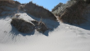 Duinen_Zeeland.jpg