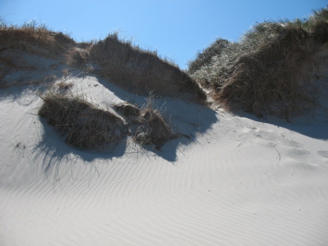 Duinen_Zeeland