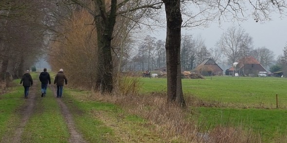 Graafschapspad onverharde laan.jpg
