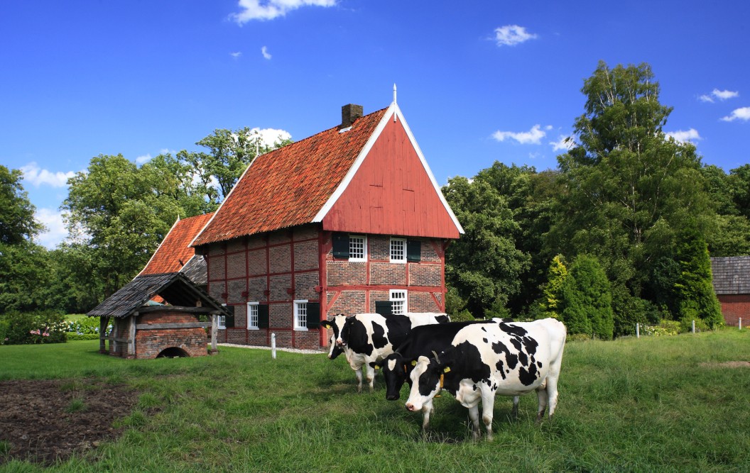 Scholtenboerderij Ratum © Achterhoek Toerisme