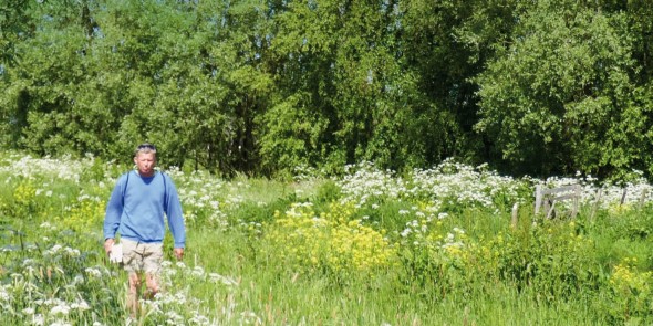 Cover_Wandelen_in_Delfland_beperkt.jpg