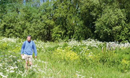 Cover_Wandelen_in_Delfland_beperkt.jpg