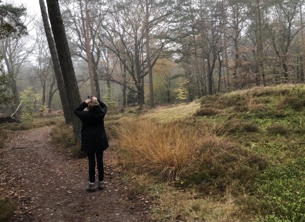 Vogels spotten bij grafheuvel © Lea van Someren