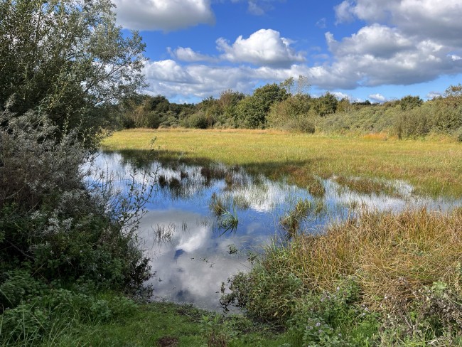Langs het Monnikenpad bij Egmond © Ernst Koningsveld