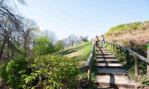 pag. 2 en 3 Eva en Myrte, omgeving Duivelsberg bij Berg en Dal-90-min.jpg