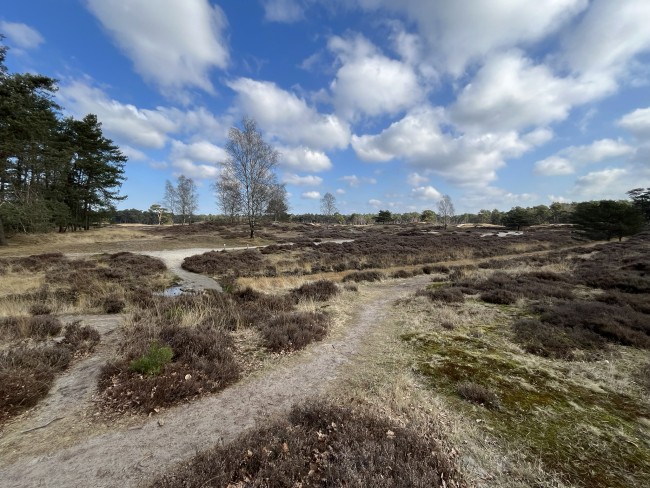 Landgoed Heidestein © Ernst Koningsveld