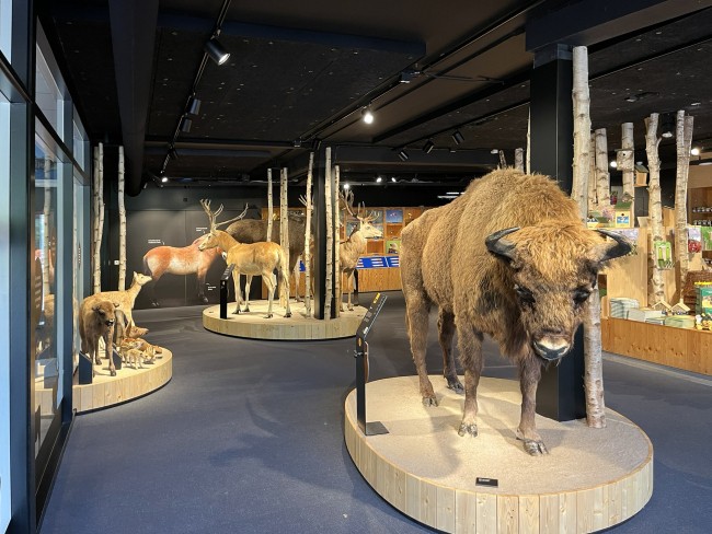 In het bezoekerscentrum in Natuurpark Lelystad © Ernst Koningsveld