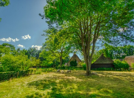 Drenthe. Foto via Unsplash.