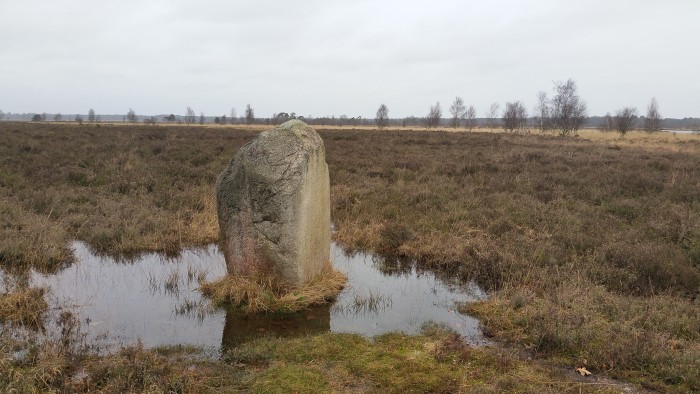 Dwingelerveld