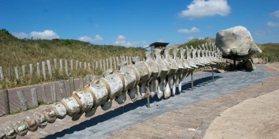 etappe 5 texel.jpg
