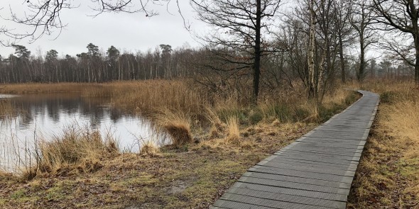 Kempen-Broek.jpeg