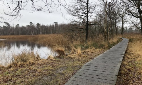 Kempen-Broek.jpeg