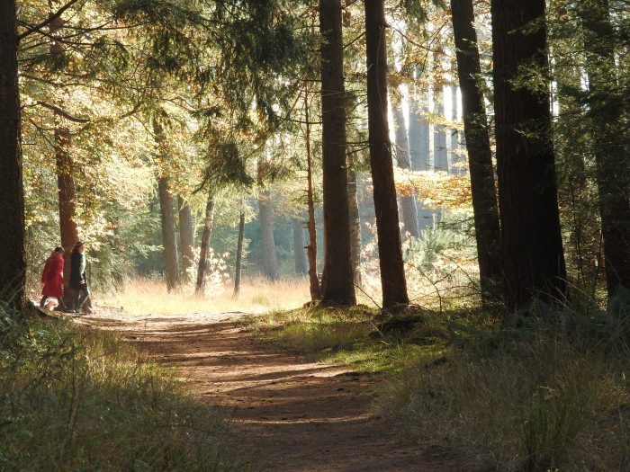 Wandelpad Beetsterzwaag