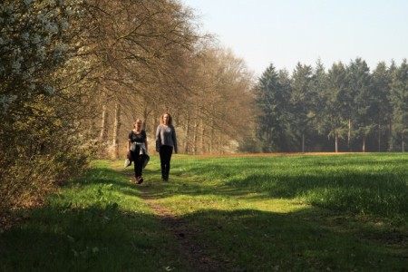 Onverhard Hanzesteden 1