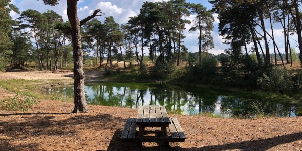 vennetje wekeromse zand.jpg
