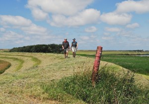 1E KEUZE - Wandelaars op dijk langs Harger- en Pettemerpolder 2 klein.jpg