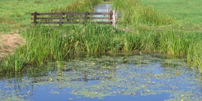 tienhovense-plassen