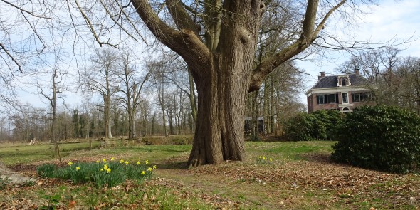 Landhuis Vennebroek.JPG