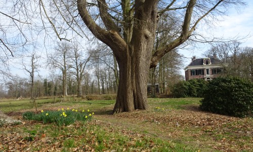 Landhuis Vennebroek.JPG