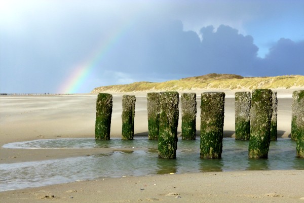 regenboog rocanje