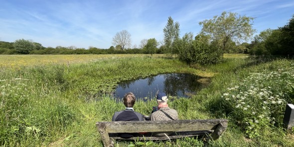 9. Vortumsche Bergen.JPG