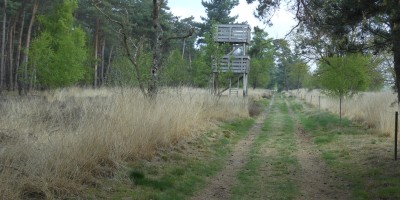 13-1 Uitkijktoren De Rips - Stippelberg.JPG