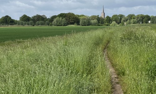 Doesburg, gezien vanaf de dijk langs het Zwarte Schaar © Ernst Koningsveld.jpg