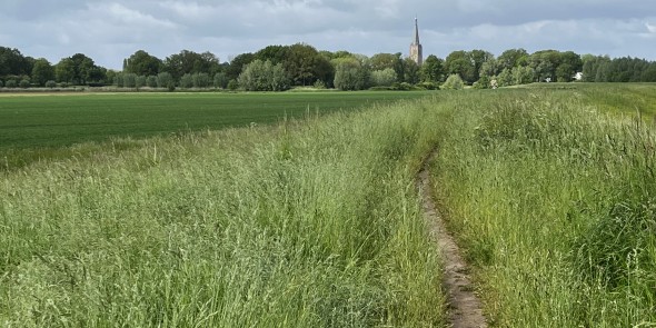 Doesburg, gezien vanaf de dijk langs het Zwarte Schaar © Ernst Koningsveld.jpg