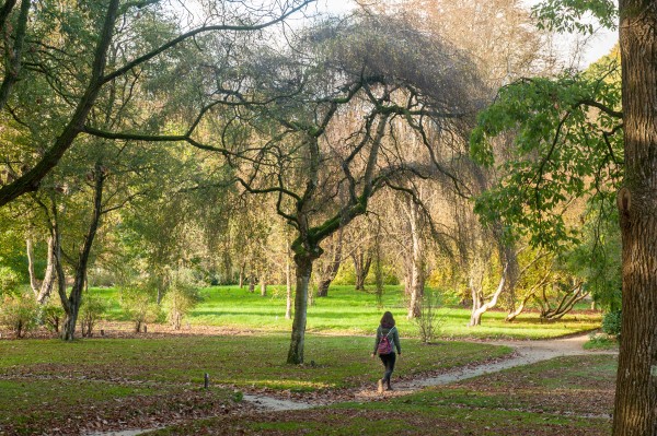 Arboretum Belmonte op Wageningse Berg-18 © Ad Snelderwaard