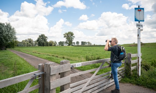 Wandelaar Henk kijk uit over dijk bij Rijswijk (Gld.jpg