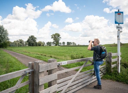 Wandelaar kijkt uit over dijk bij Rijswijk