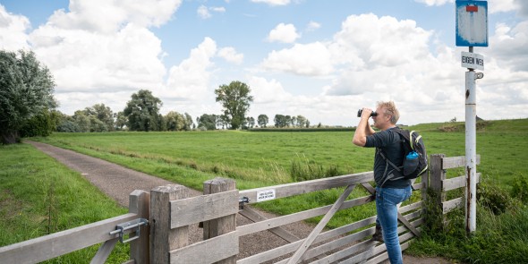 Wandelaar Henk kijk uit over dijk bij Rijswijk (Gld.jpg