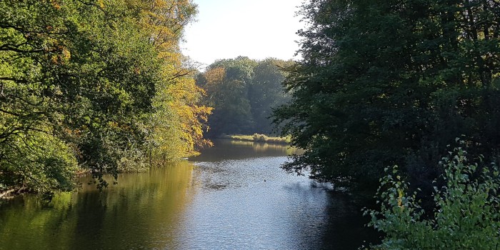 Amsterdamse Bos