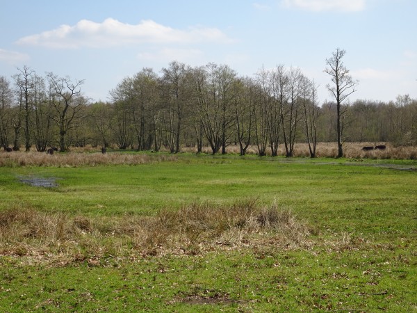 Coulissenlandschap