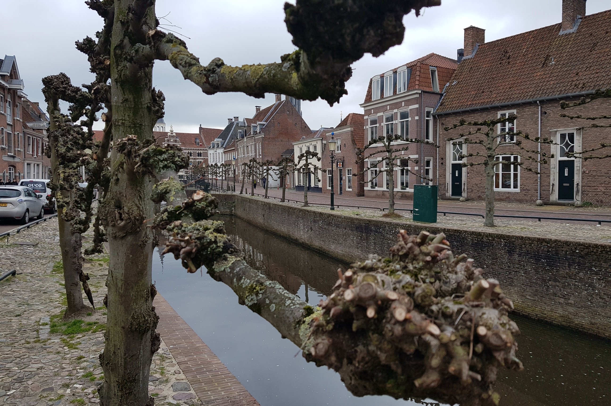 Bomenwandeling Amersfoort