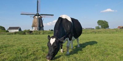 Geniedijk.jpg