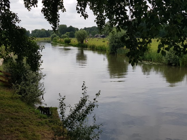 De Kromme Rijn bij Wijk bij Duurstede