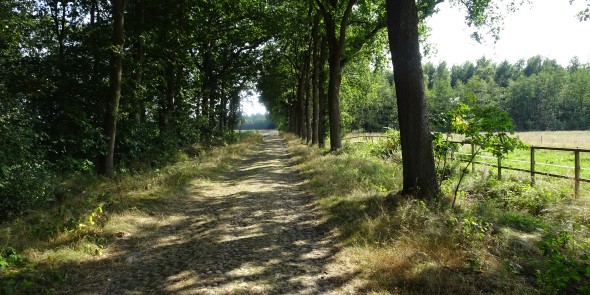 Veldkeienweggetje.JPG