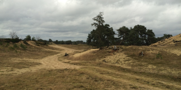 Kootwijkerzand.png