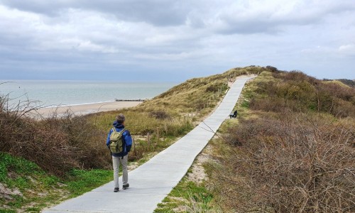 NS-wandeling zoutelanden.jpg