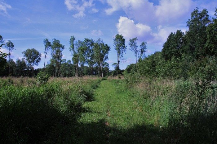 2,a Almeerderhout © Luuk Gijselhart