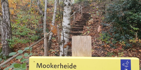 Streekpad_Nijmegen_Mookerheide