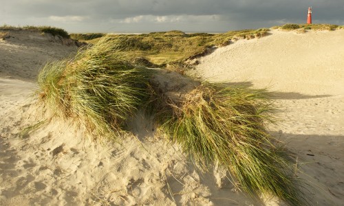 Streekpad_WaddenWandelen_etappe_Schiermonnikoog_1.jpg