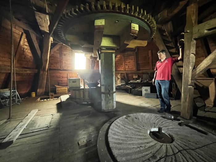 Molenenaar Dan Werts