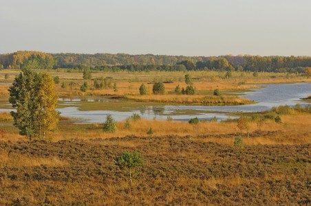 Onverhard Hamert Wetterlooi 1