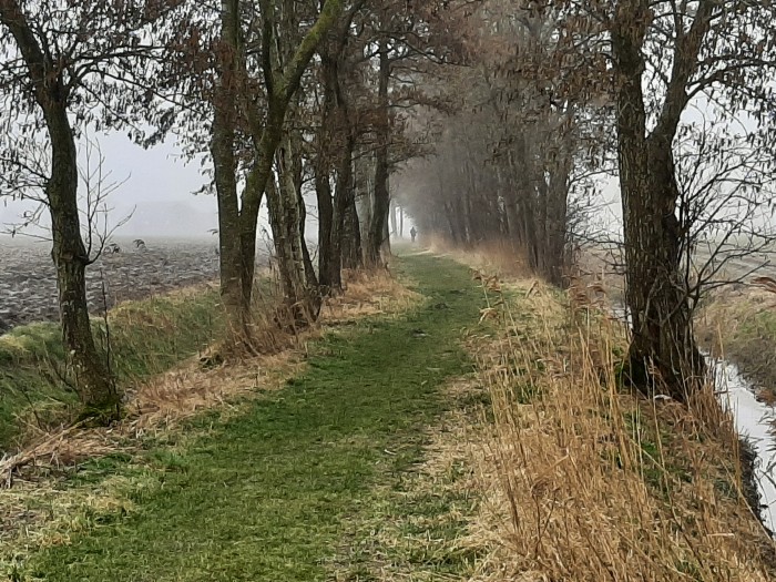 6 Lijkenlaantje Groot Maarslag.jpg