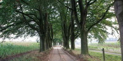 Ligtenbergerveld.jpg