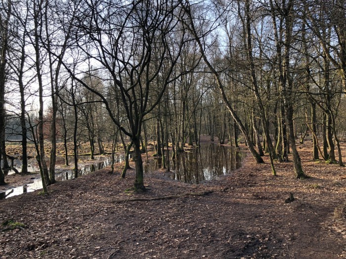 20240129 water blokkeert pad
